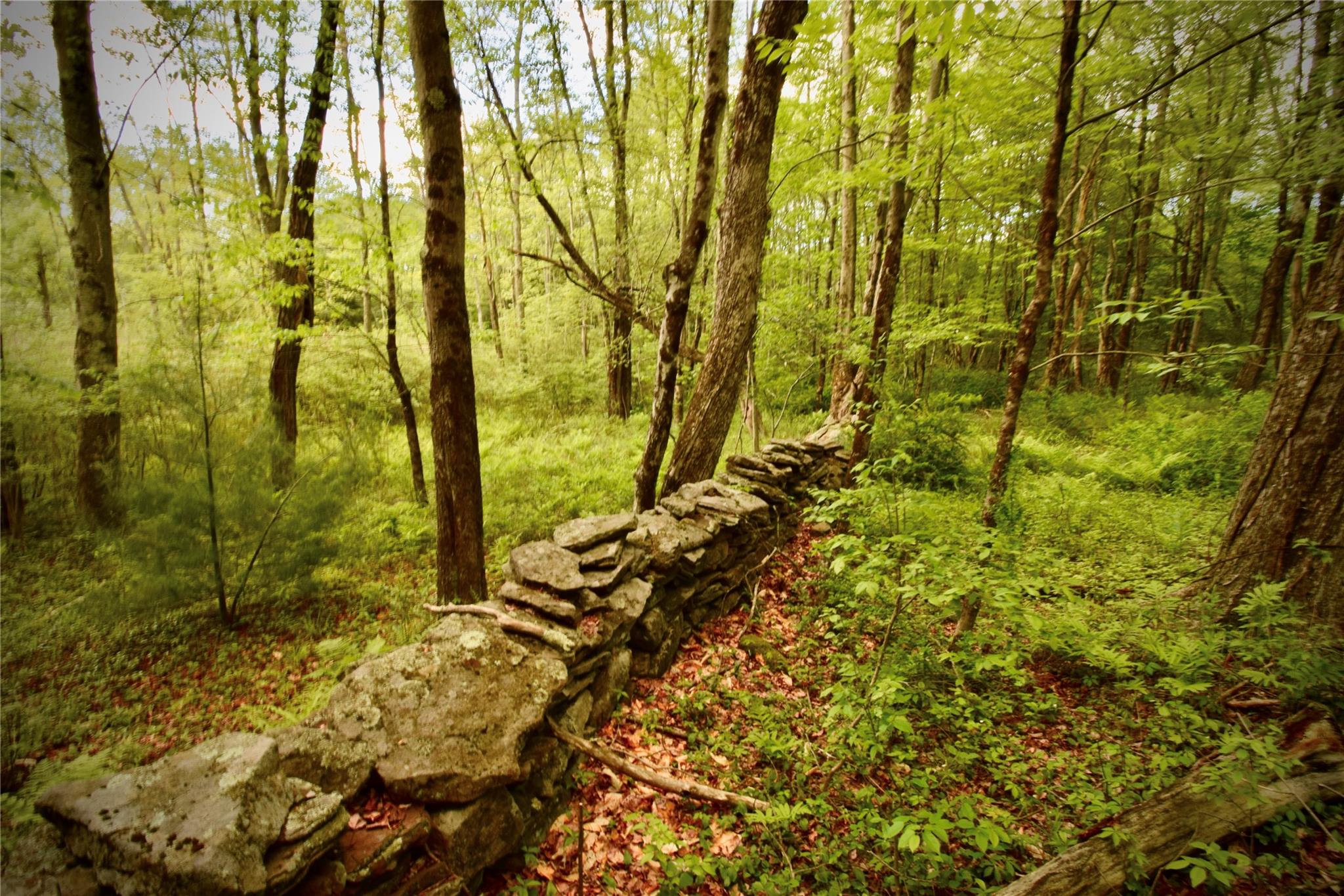 52 Rt Wawarsing, NY 12489 - Photo 2 of 41 view of the garden