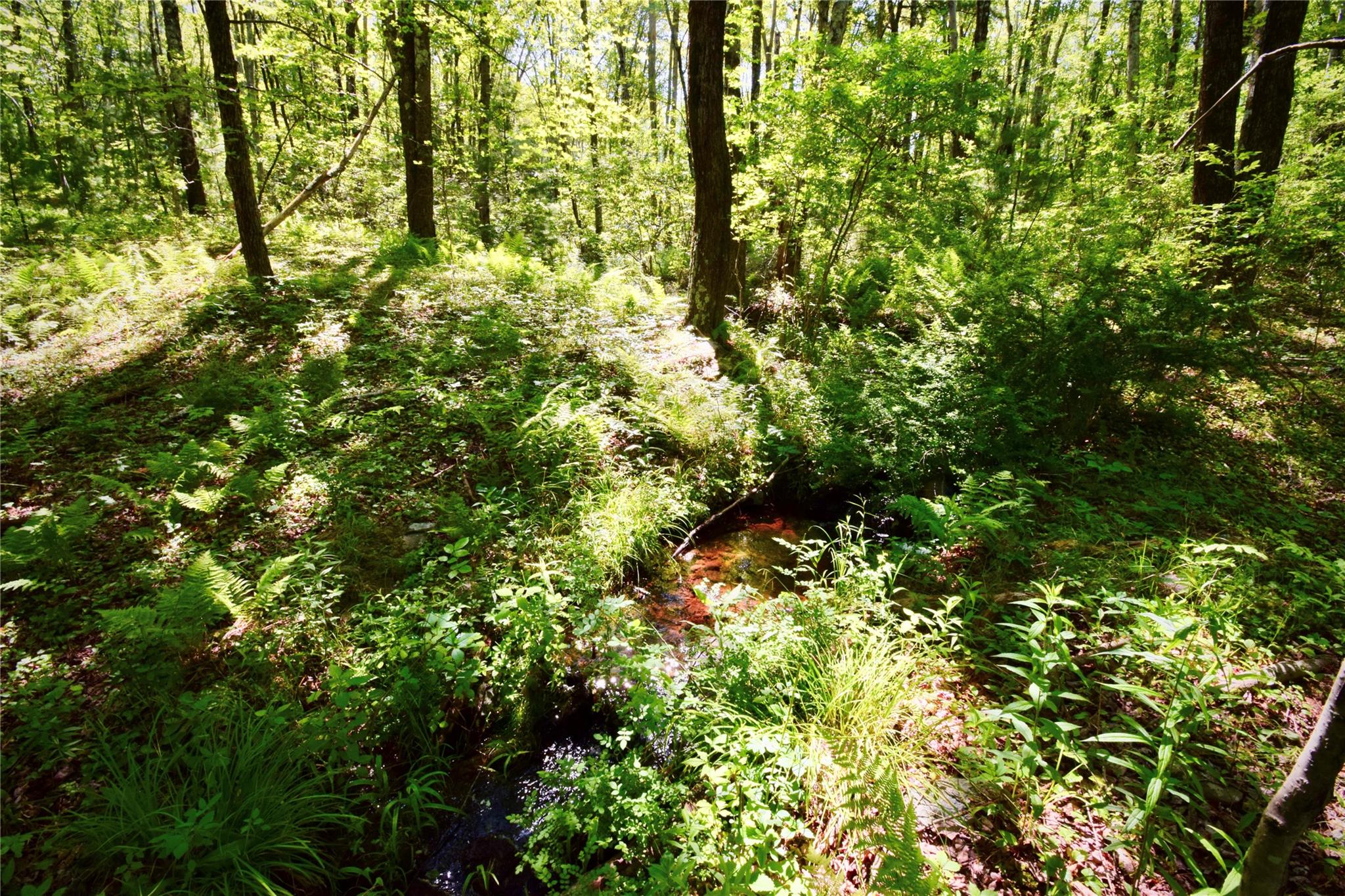 52 Rt Wawarsing, NY 12489 - Photo 21 of 41