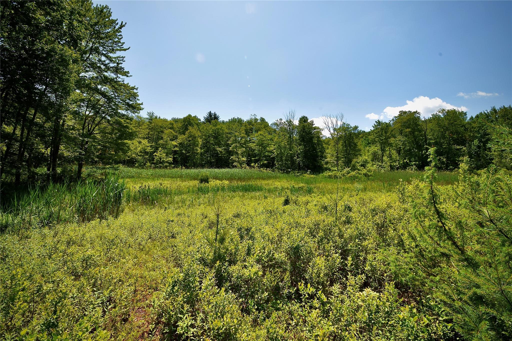 52 Rt Wawarsing, NY 12489 - Photo 25 of 41 a view of a lake with a yard