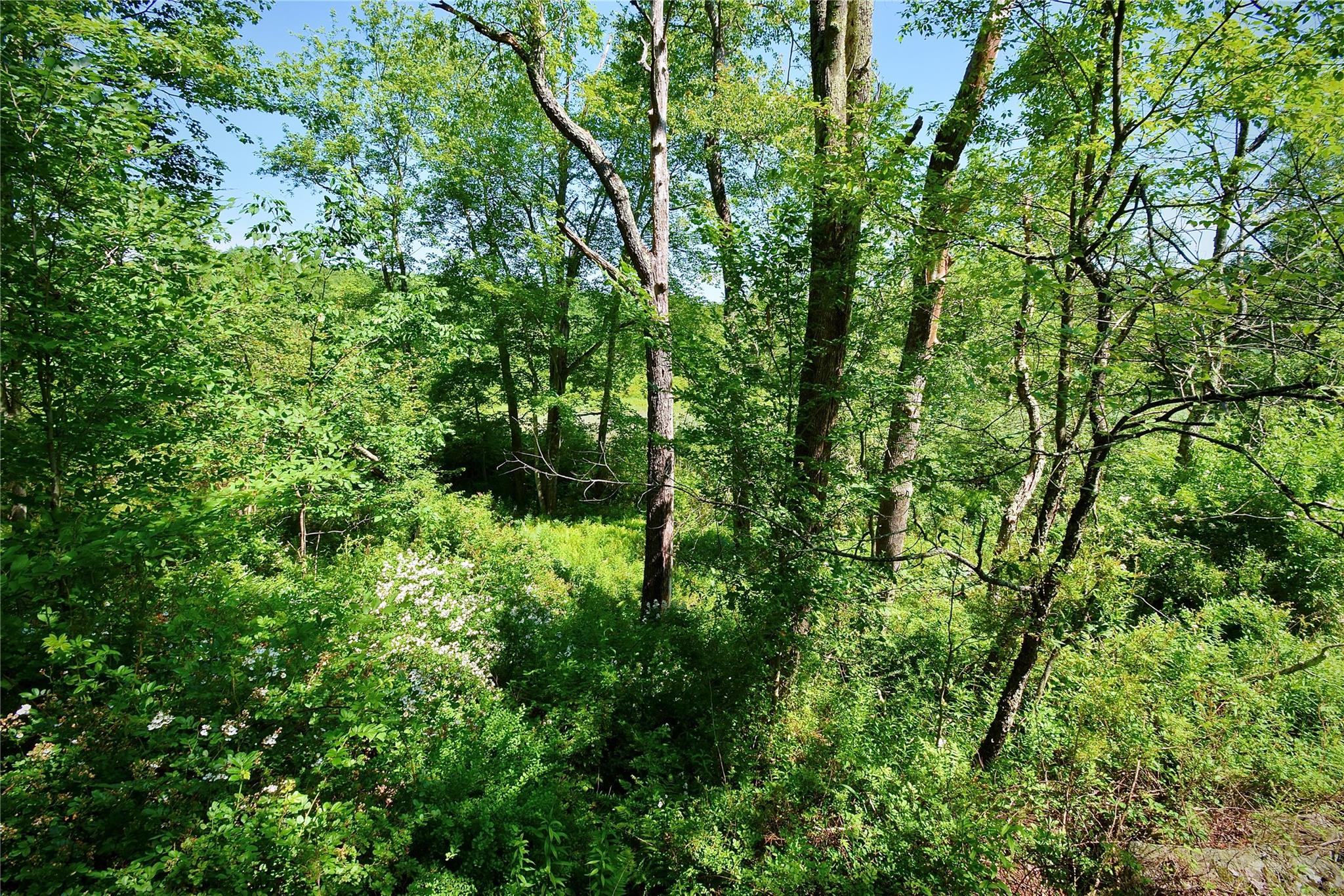 52 Rt Wawarsing, NY 12489 - Photo 26 of 41 a view of a lush green forest
