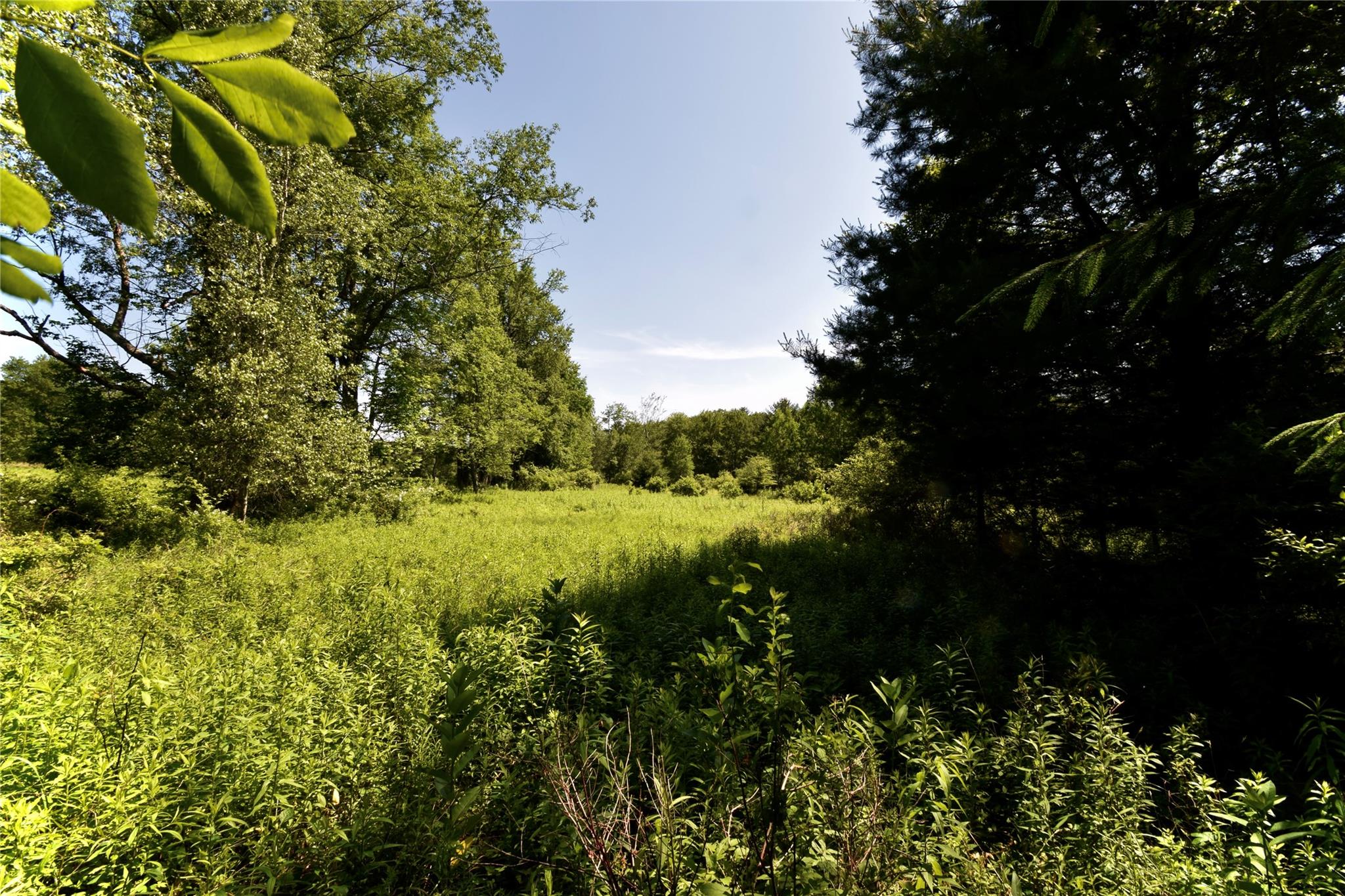 52 Rt Wawarsing, NY 12489 - Photo 27 of 41 a view of a garden