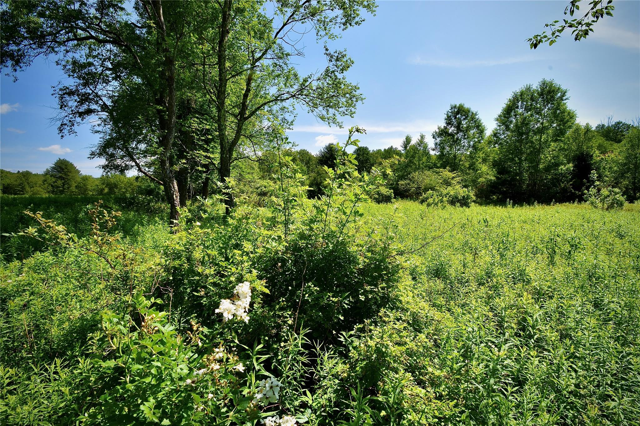 52 Rt Wawarsing, NY 12489 - Photo 30 of 41 an aerial view of a house with a yard
