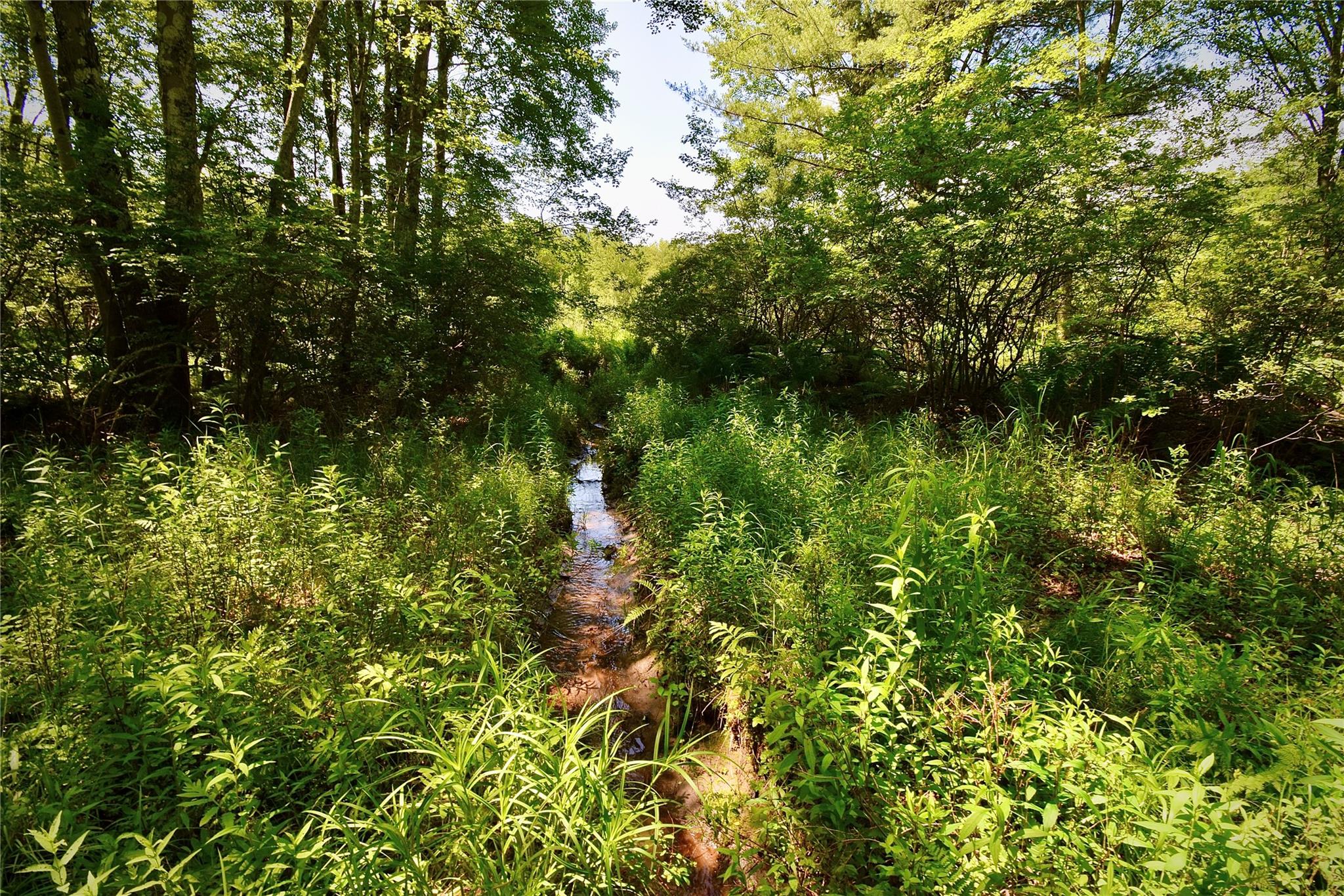 52 Rt Wawarsing, NY 12489 - Photo 35 of 41 a view of a tree