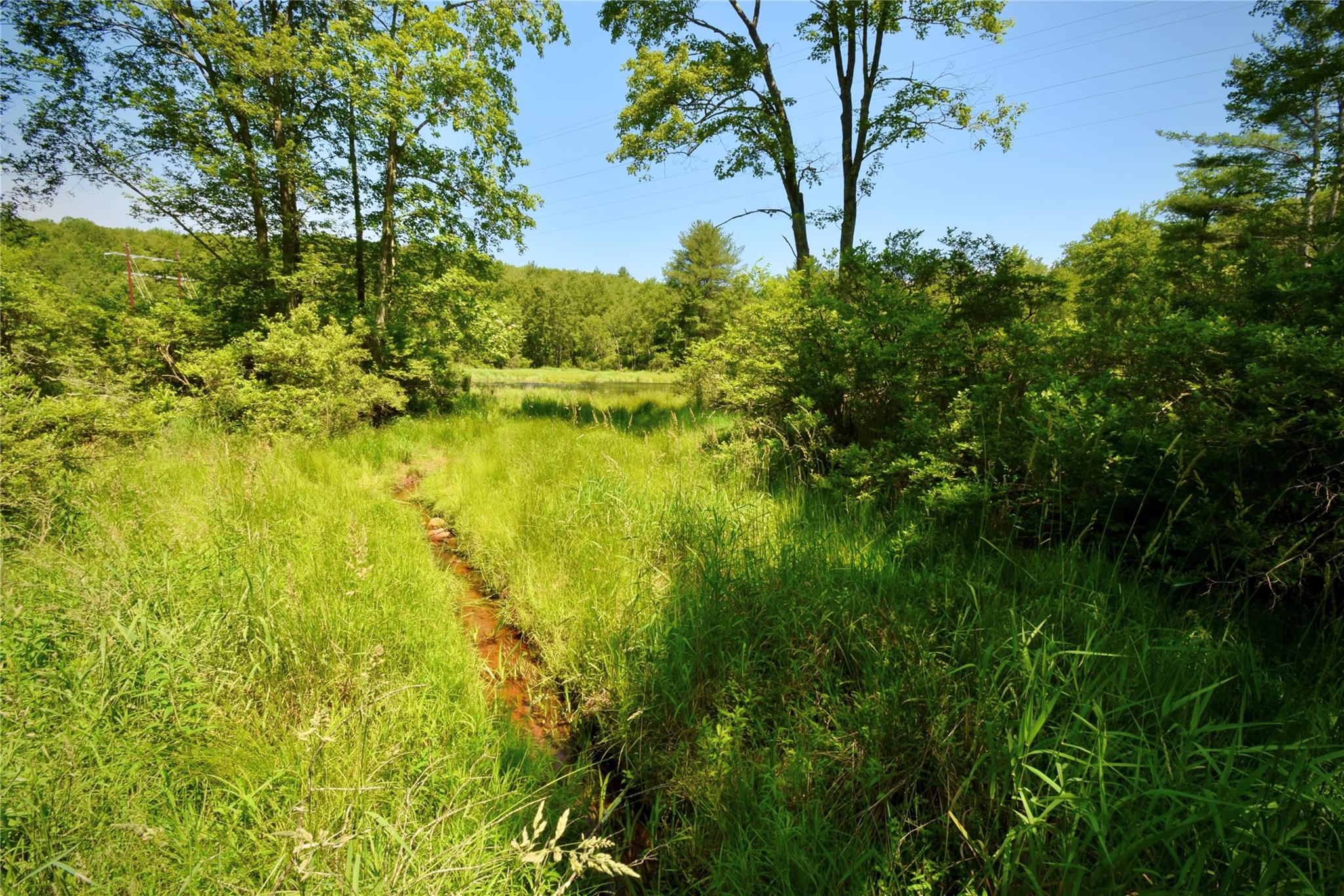 52 Rt Wawarsing, NY 12489 - Photo 36 of 41 a view of a lake with a tree