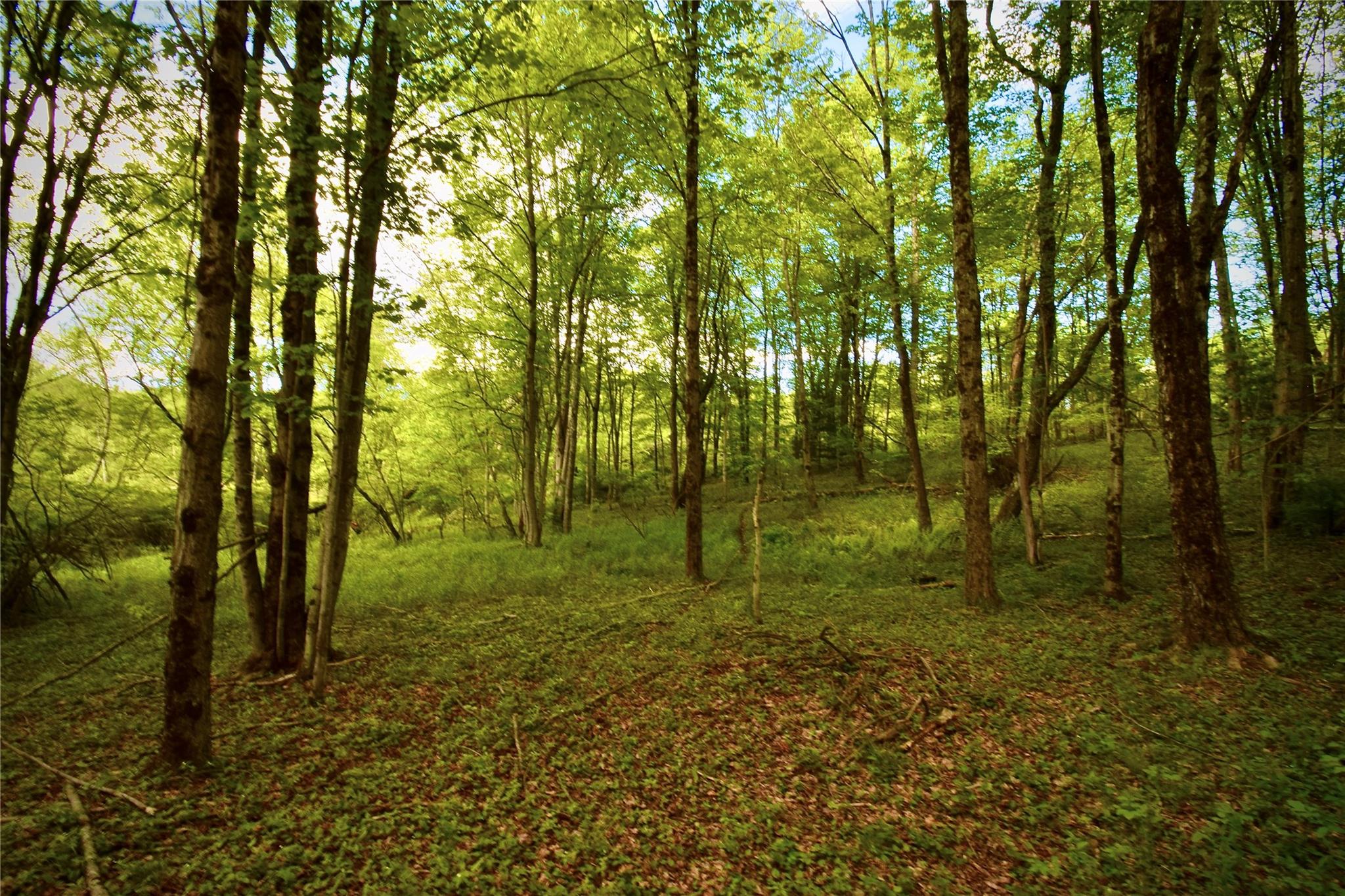 52 Rt Wawarsing, NY 12489 - Photo 4 of 41 a view of outdoor space and green space
