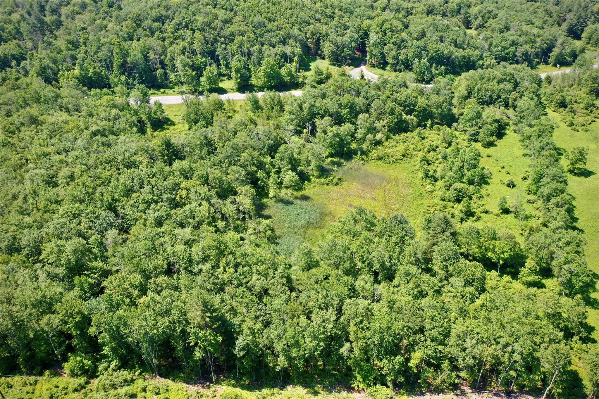 52 Rt Wawarsing, NY 12489 - Photo 9 of 41 a view of a lush green forest