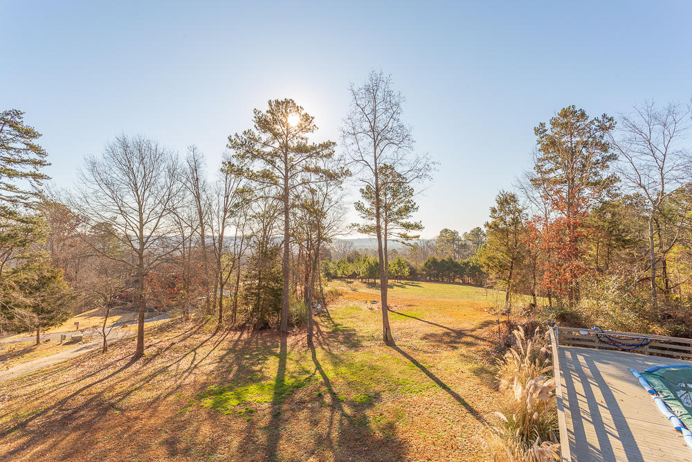 145 Raintree Lane Ringgold, GA 30736 - Photo 29 of 40 145 Raintree HD -57