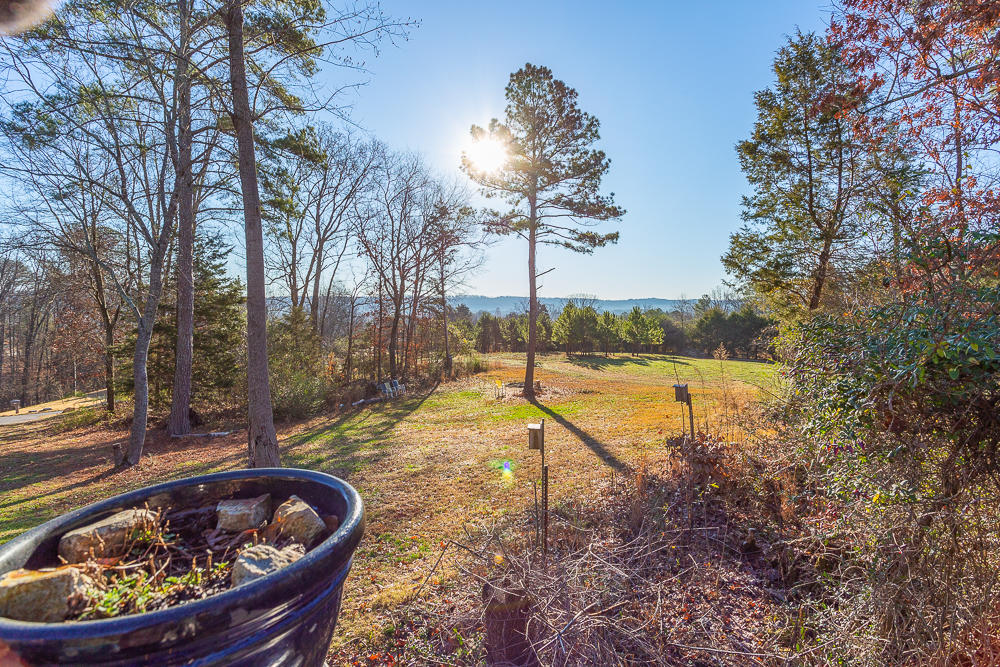 145 Raintree Lane Ringgold, GA 30736 - Photo 6 of 40 145 Raintree HD -13
