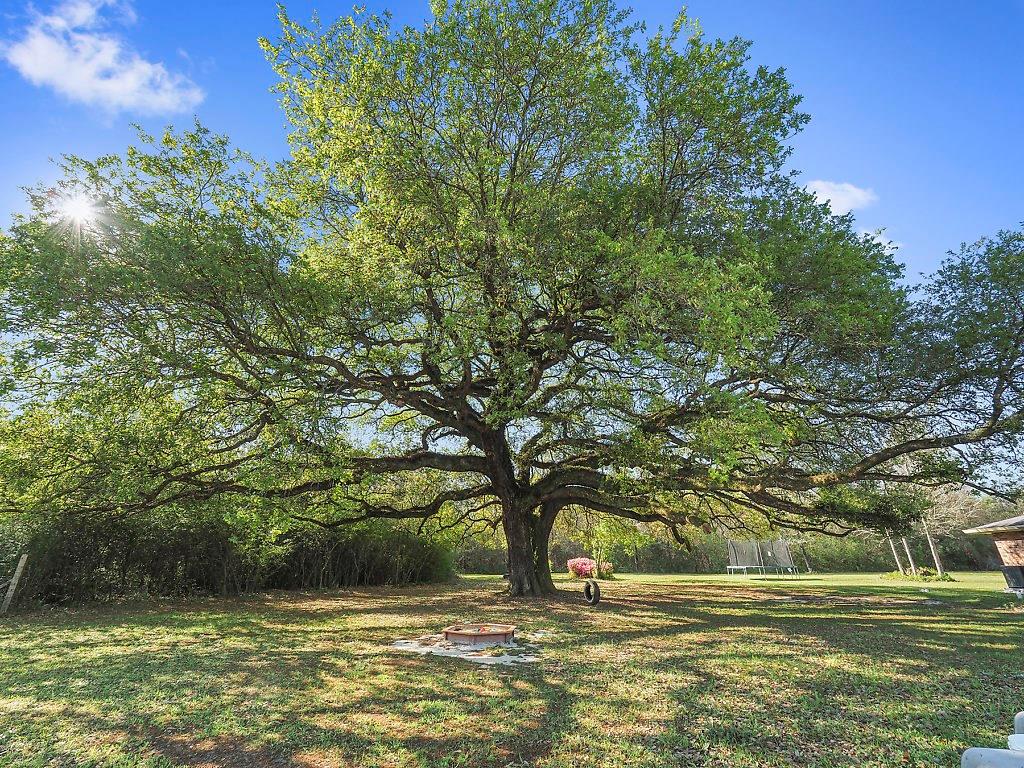 84386 Pierce Road Bogalusa, LA 70427 - Photo 20 of 24 Gallery Image 20