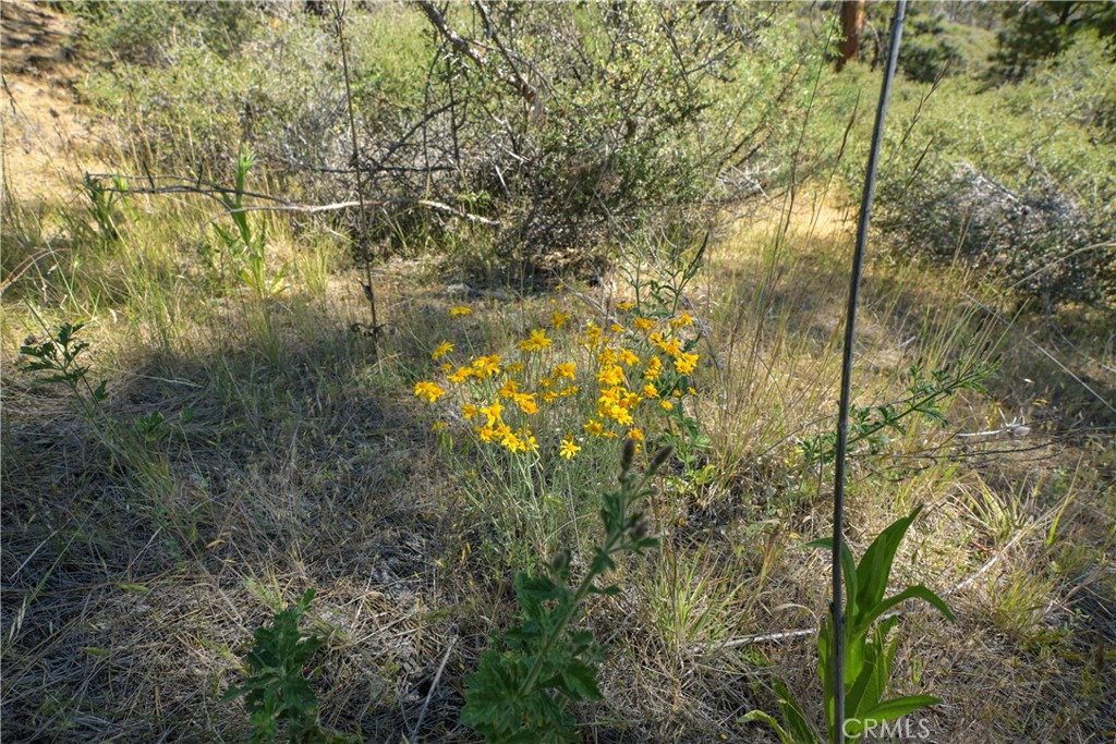 1 Duzel Creek Road Fort Jones, CA 96032 - Photo 12 of 38