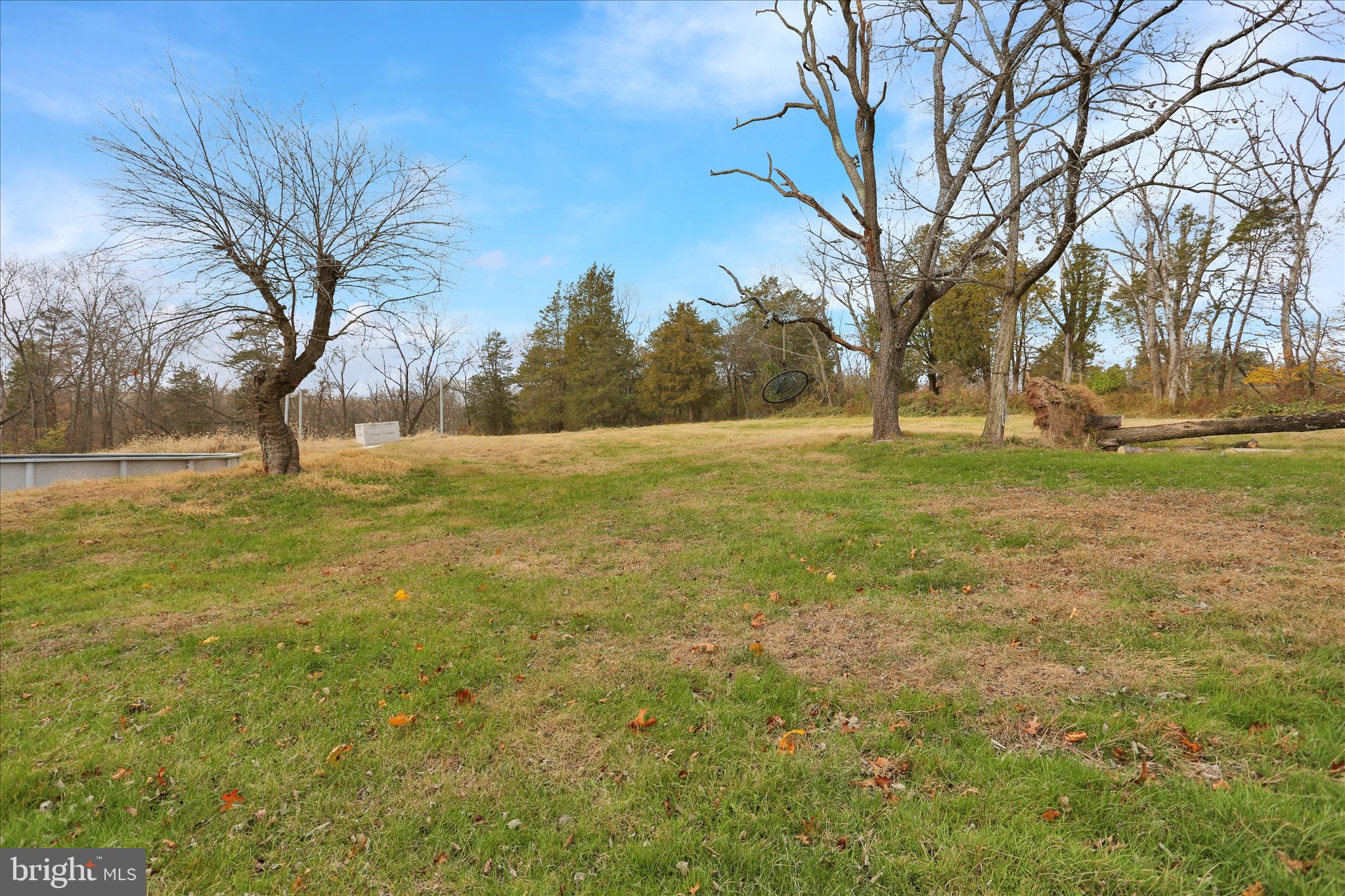 320 South Baumstown Road Birdsboro, PA 19508 - Photo 34 of 43 a view of yard with trees
