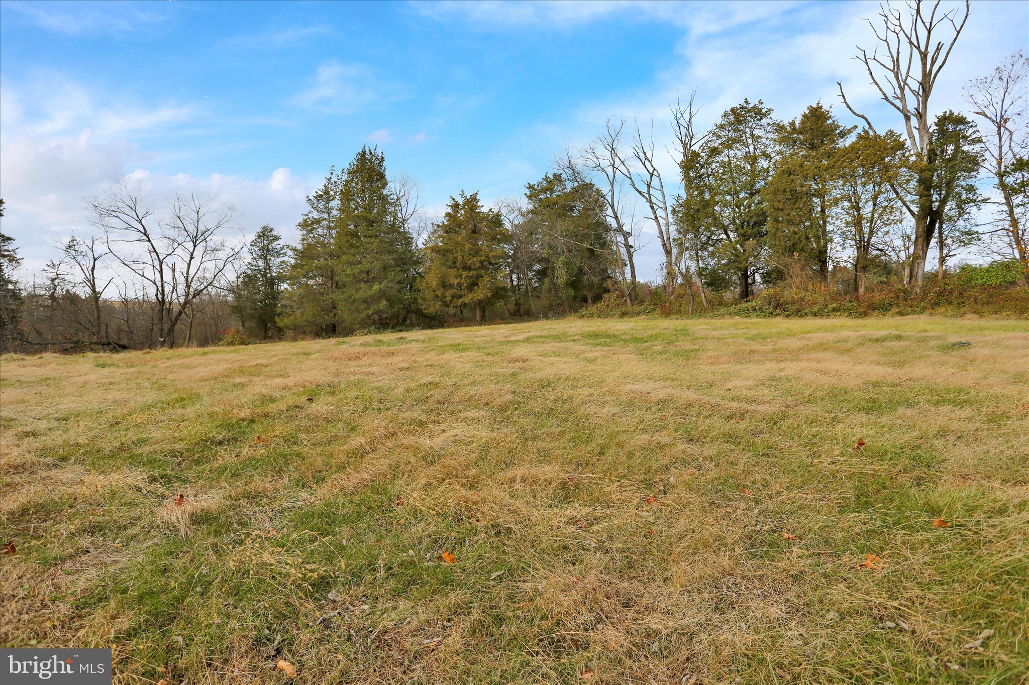 320 South Baumstown Road Birdsboro, PA 19508 - Photo 37 of 43 a view of yard with large trees