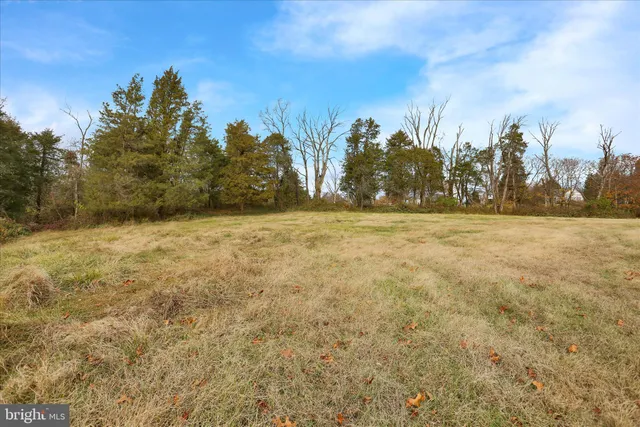 a view of a house with a yard and large trees