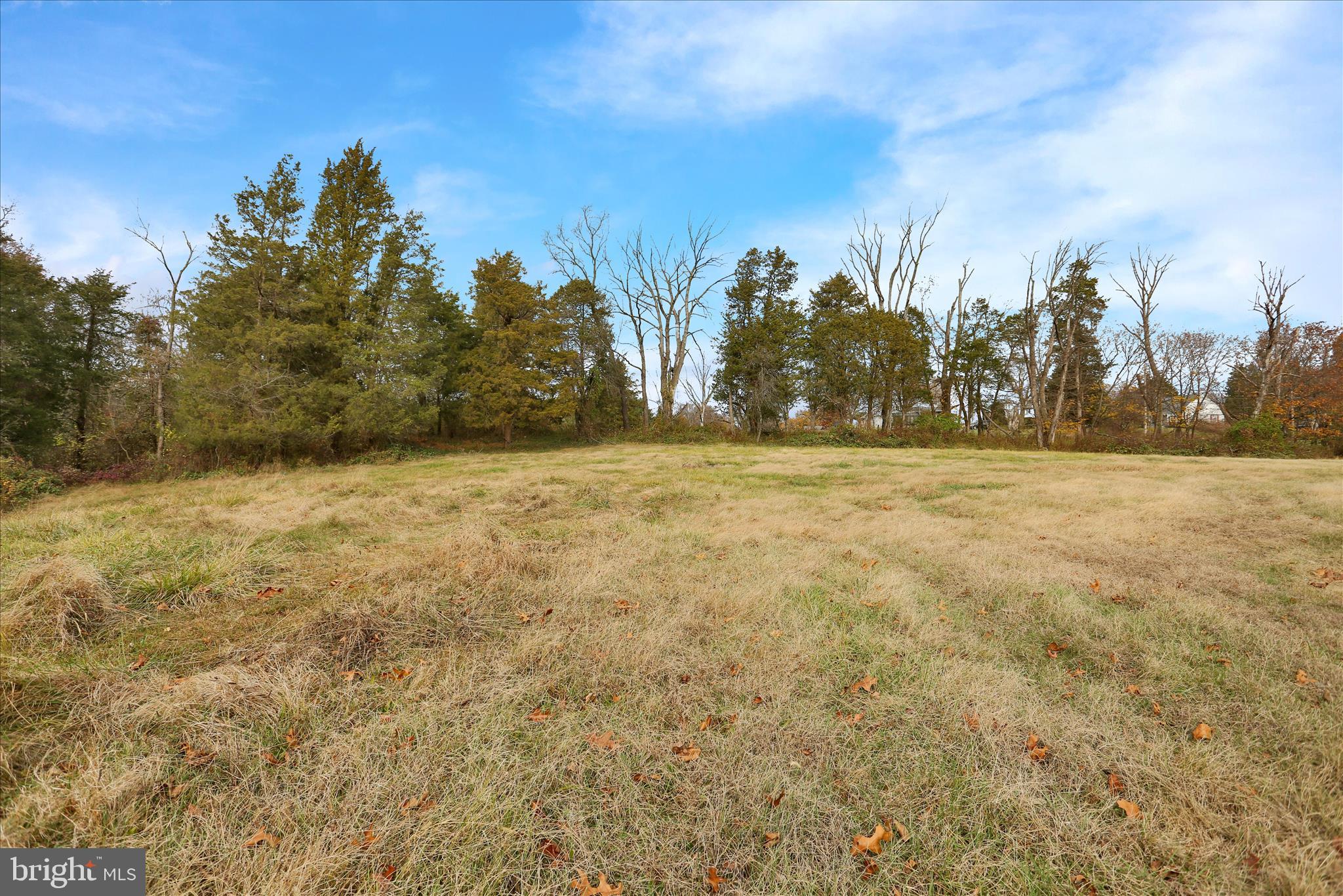320 South Baumstown Road Birdsboro, PA 19508 - Photo 38 of 43 a view of a field with trees in the background