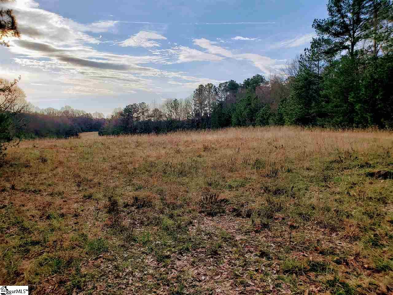 42 Ferguson Road Piedmont, SC 29673 - Photo 1 of 6 Gallery Image 1