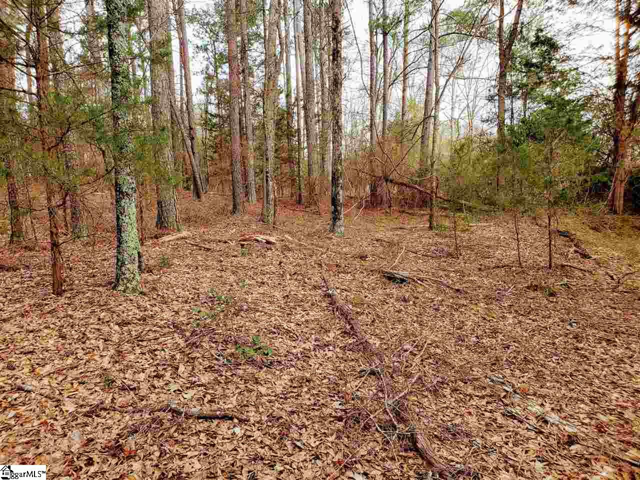 42 Ferguson Road Piedmont, SC 29673 - Photo 2 of 6 Gallery Image 2