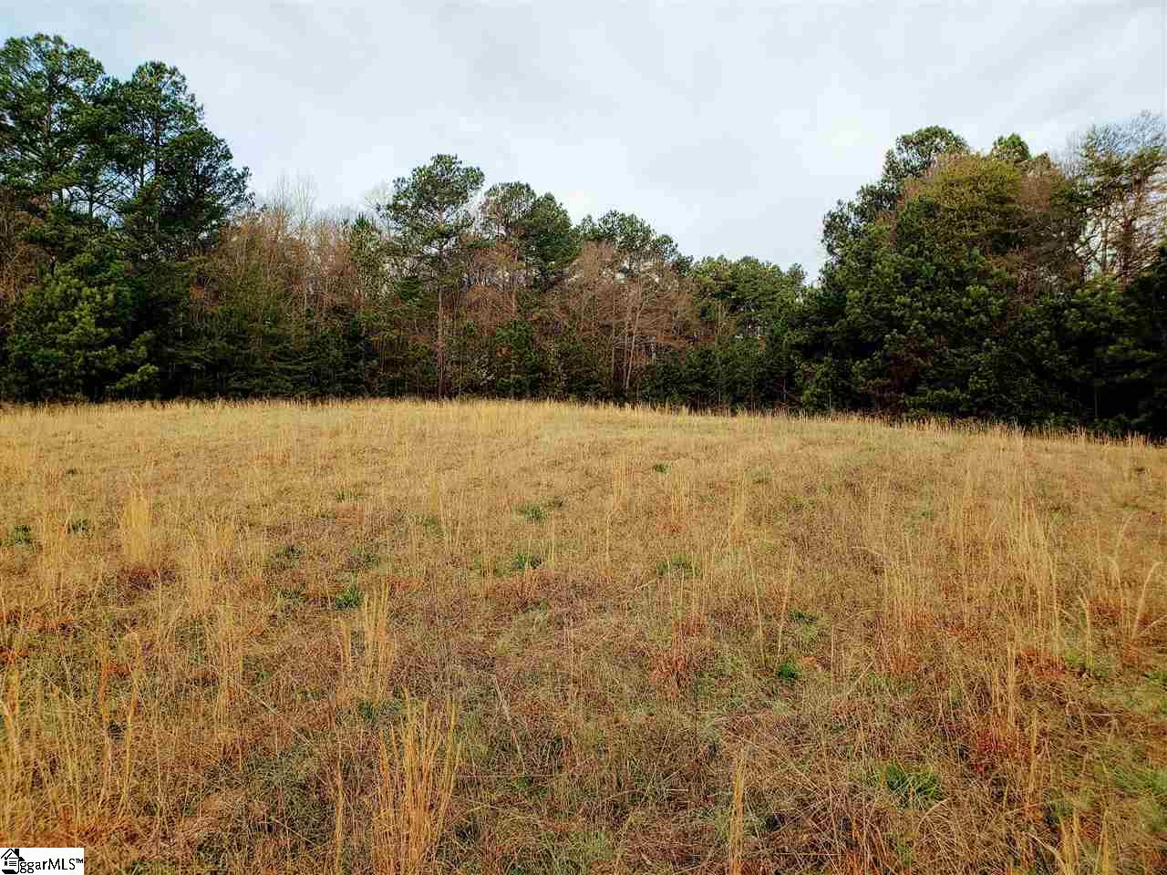 42 Ferguson Road Piedmont, SC 29673 - Photo 3 of 6 Gallery Image 3