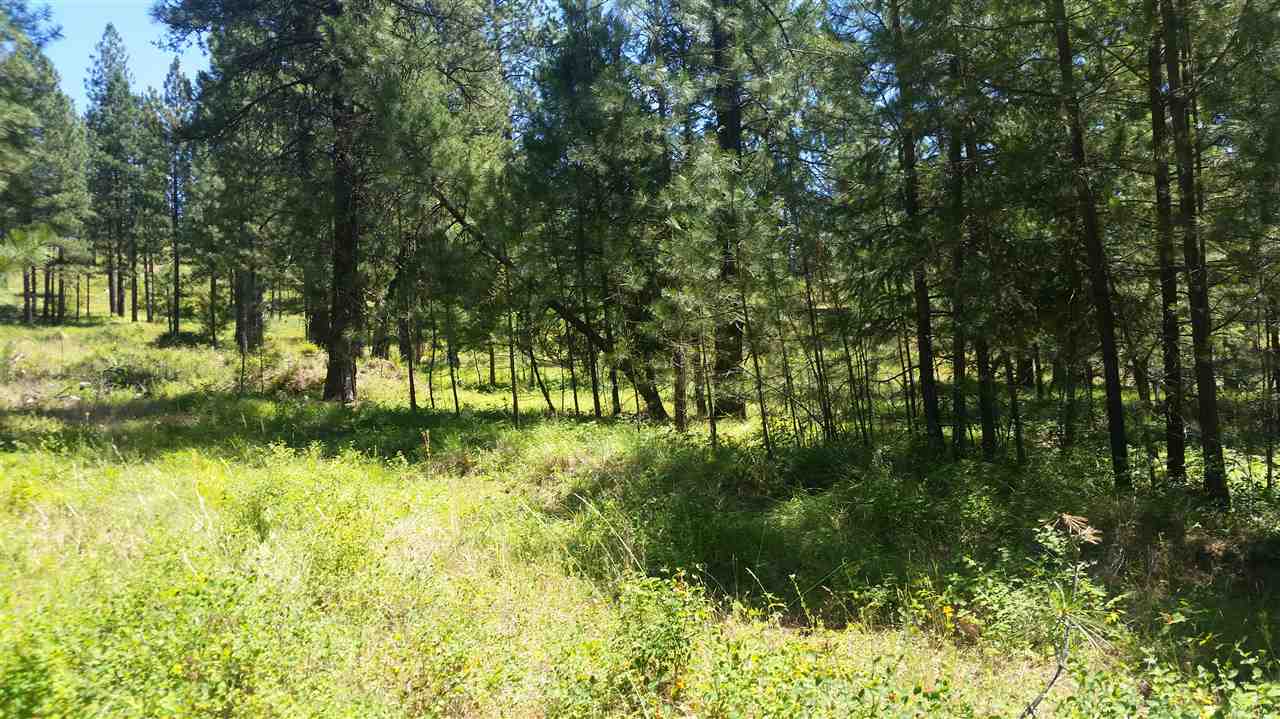 33428 North Hardesty Road Chattaroy, WA 99003 - Photo 8 of 12