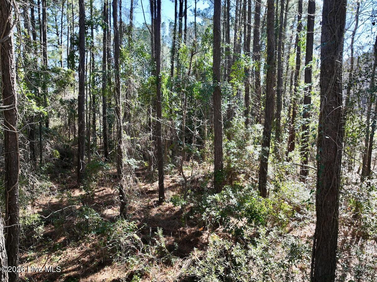 0 Creek Place Road Arapahoe, NC 28510 - Photo 14 of 24 12