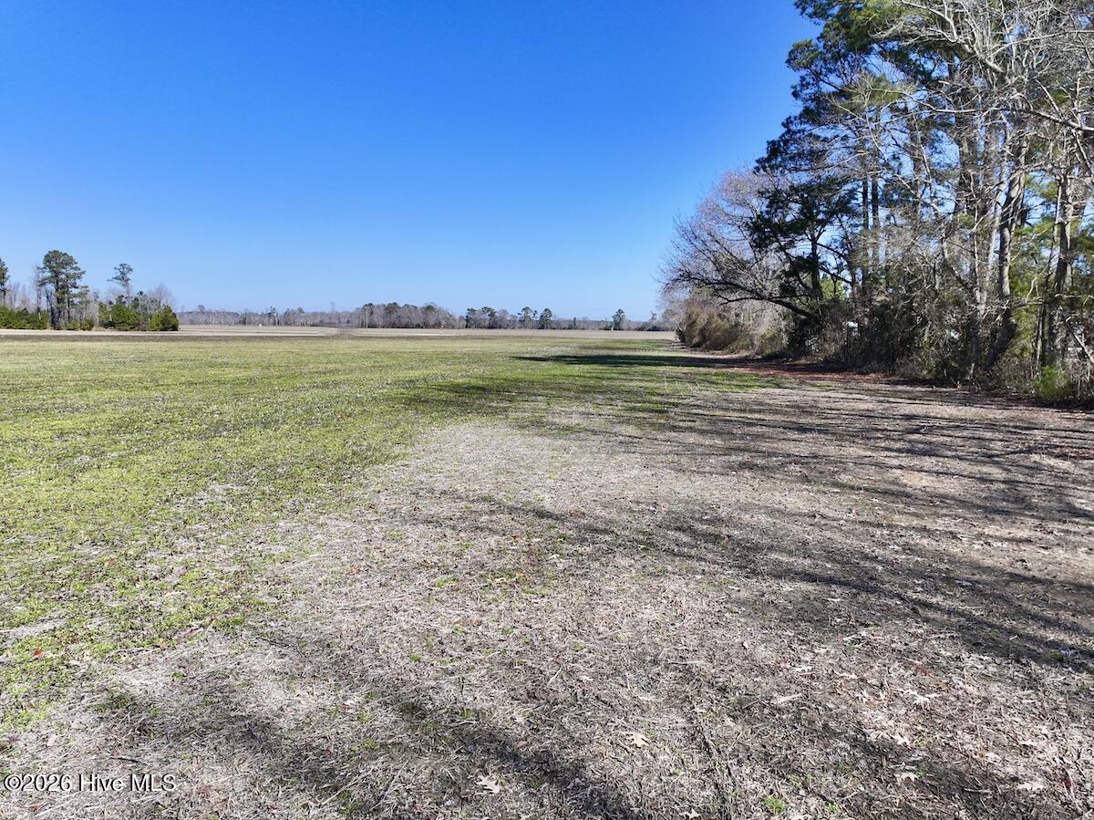 0 Creek Place Road Arapahoe, NC 28510 - Photo 15 of 24 13