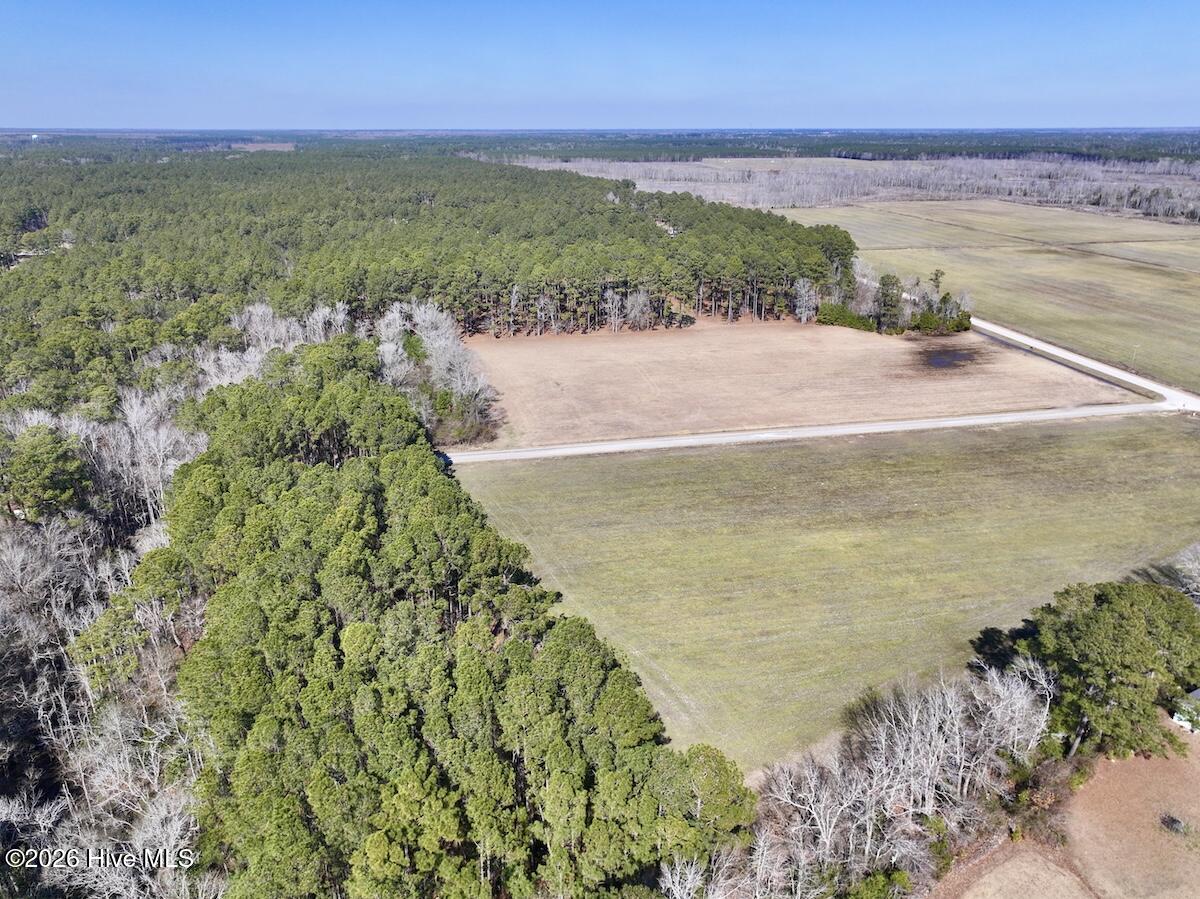 0 Creek Place Road Arapahoe, NC 28510 - Photo 4 of 24 4