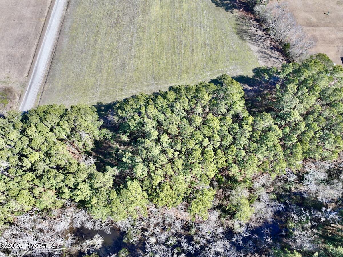 0 Creek Place Road Arapahoe, NC 28510 - Photo 5 of 24 5