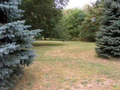 4765 Bundy Road Coloma, MI 49038 - Photo 3 of 6 Additional Photo