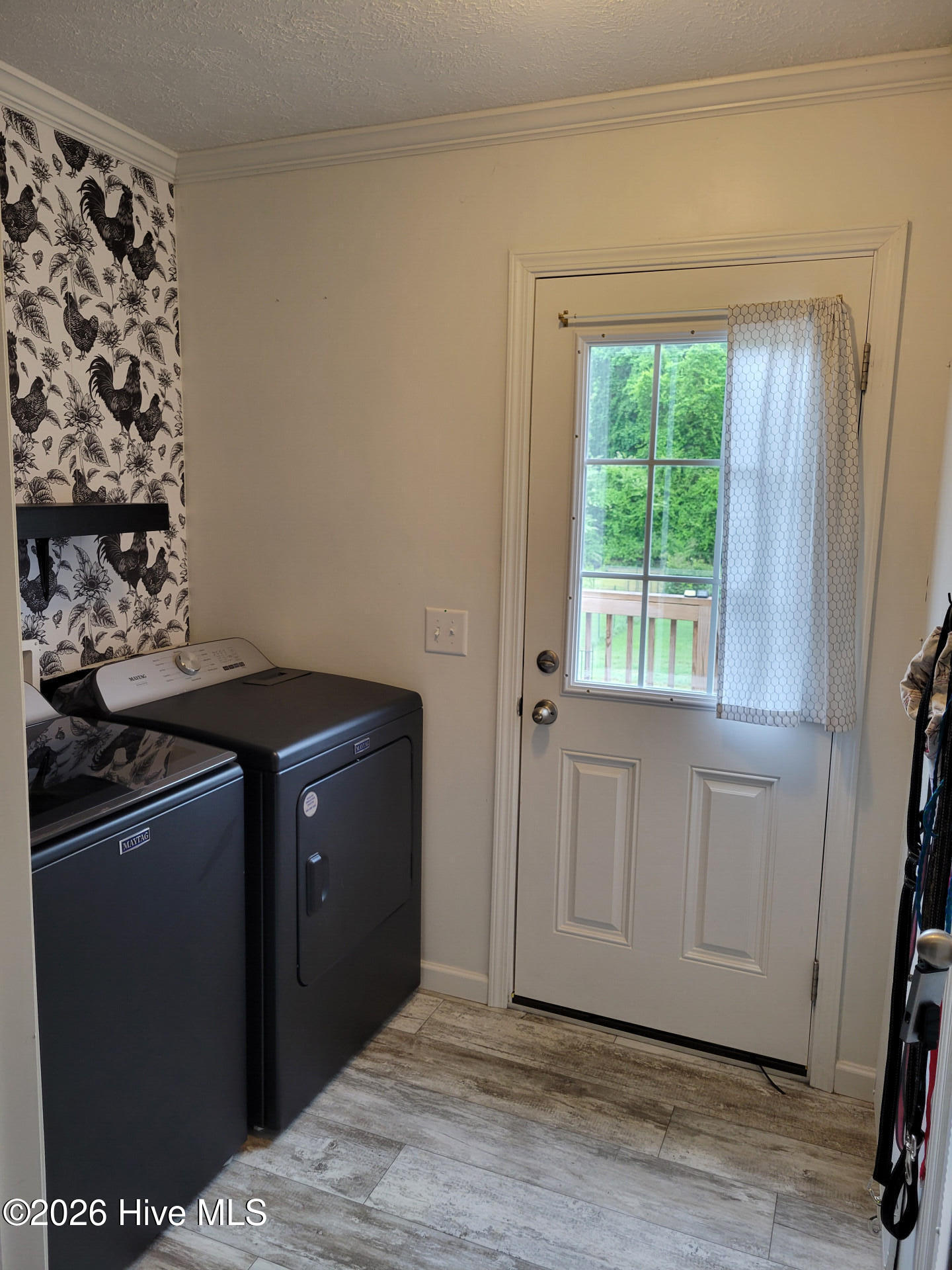 3729 Bryan Hardy Road La Grange, NC 28551 - Photo 9 of 29 3729BryanHardyRoad_68475_9