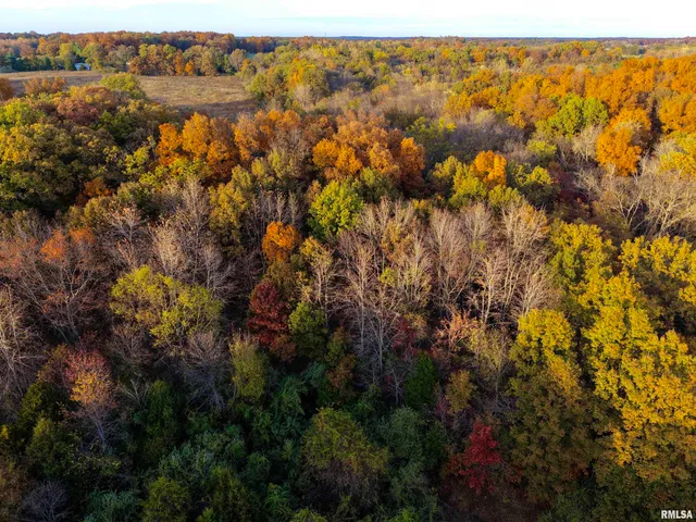 $29,900 | 18492 North Moonbeam Lane, Mount Vernon, IL 62864