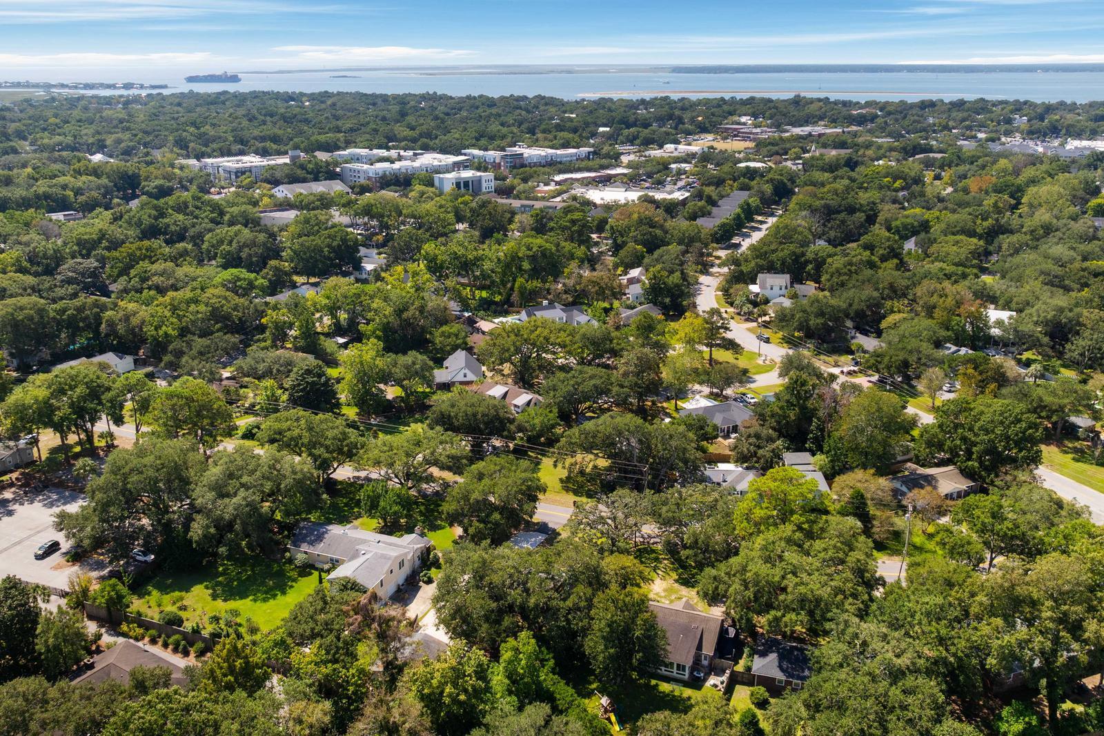 1122 Camellia Drive Mount Pleasant, SC 29464 - Photo 34 of 36 41