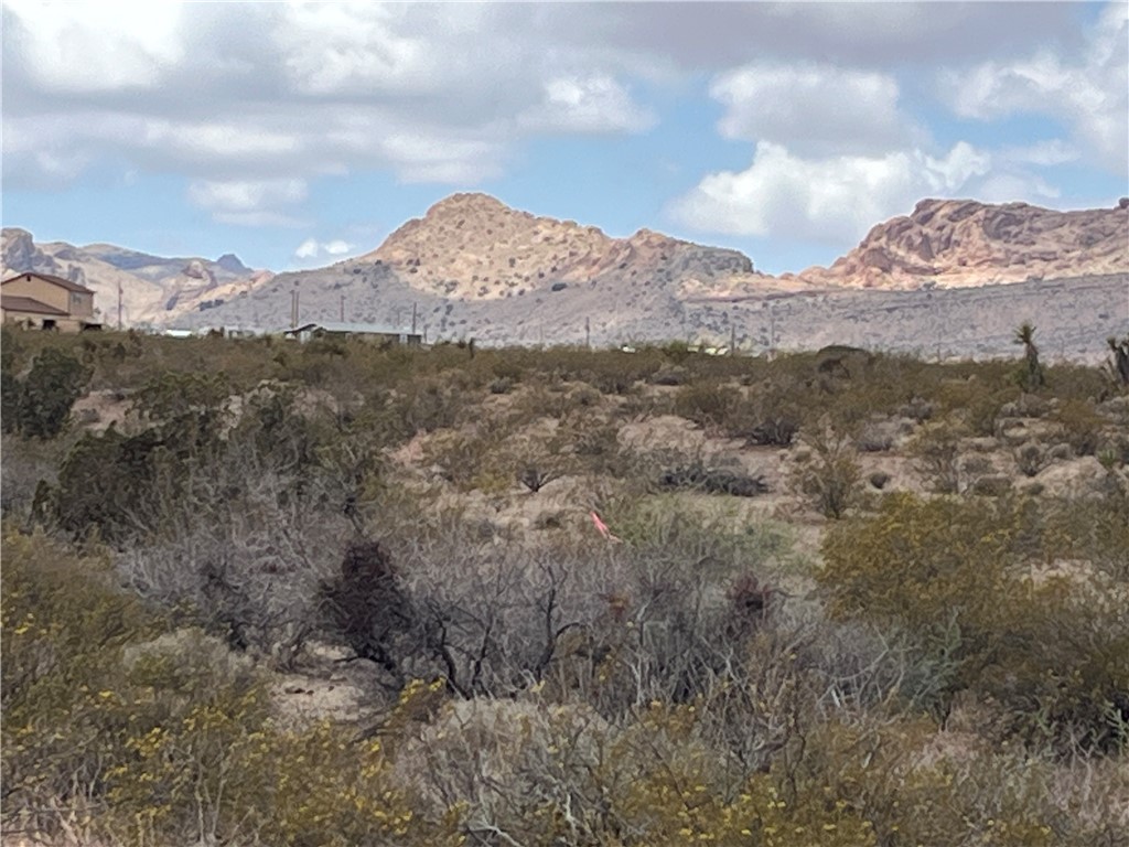 Lot 5 South Dome Road Golden Valley, AZ 86413 - Photo 7 of 20 Looking from near SW Parcel Corner at Black Mtns