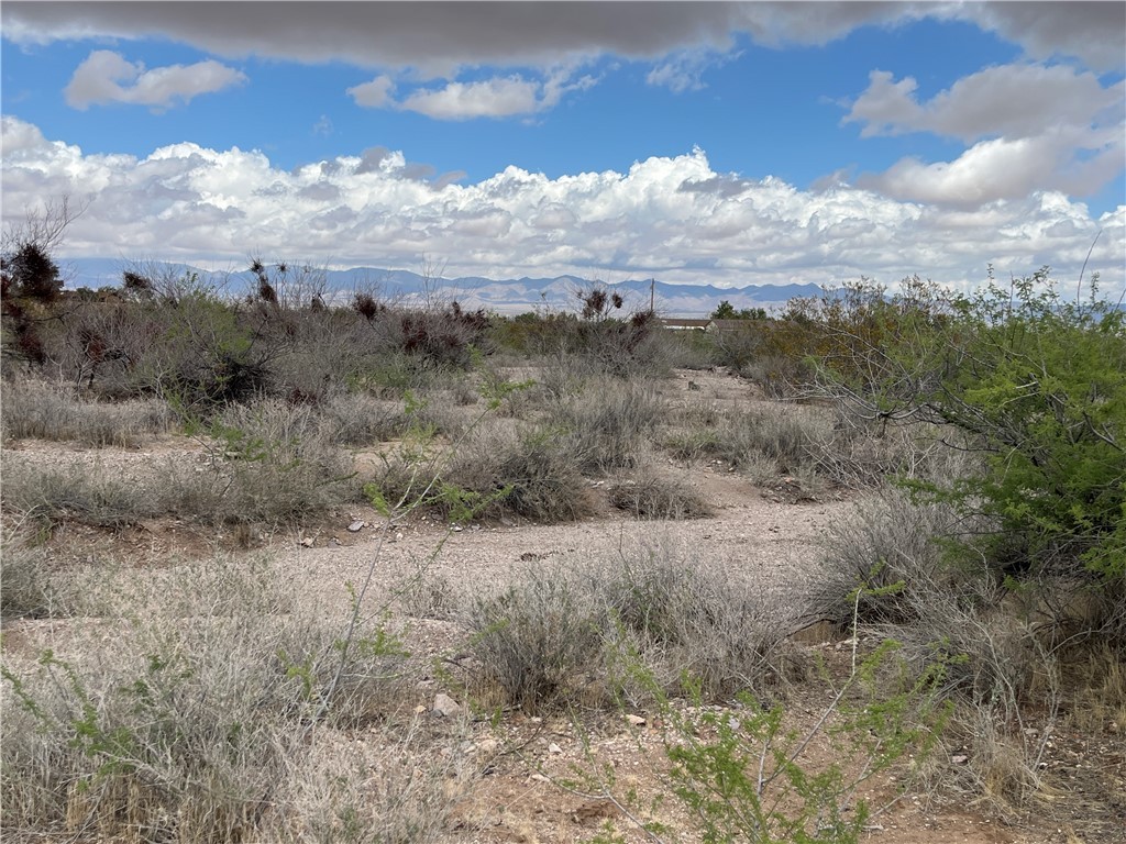 Lot 5 South Dome Road Golden Valley, AZ 86413 - Photo 9 of 20 Undisturbed Natural High Desert Vegetation Dots the Parcel