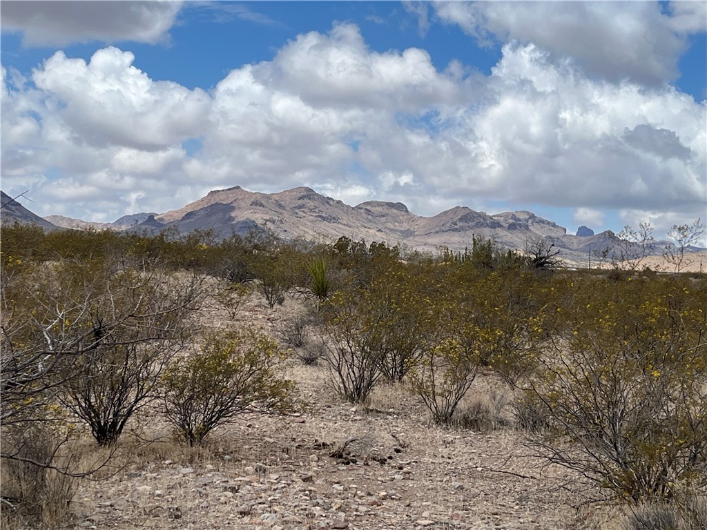 Lot 5 South Dome Road Golden Valley, AZ 86413 - Photo 10 of 20 Another view of Natural High Desert Vegetation