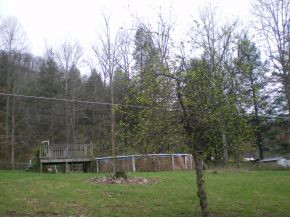 808 Ryder Church Road Bluff City, TN 37618 - Photo 2 of 7 Photo 2