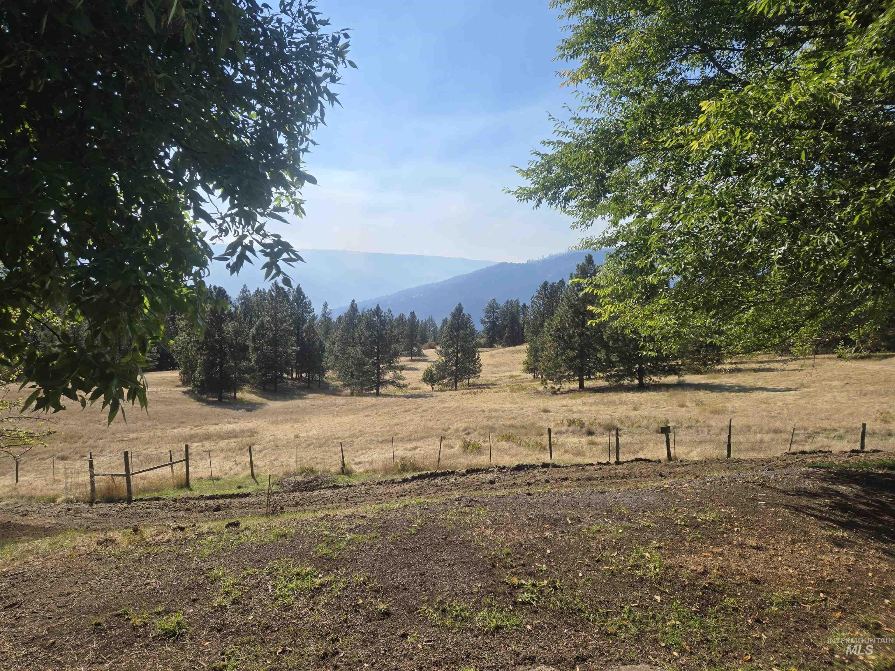 4099 Lakeview Road Orofino, ID 83544 - Photo 16 of 41 Expansive natural landscape featuring rolling hills and mature evergreen trees