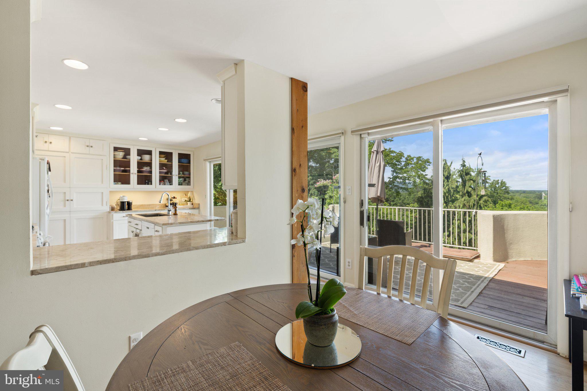 1248 Delaplane Grade Road Upperville, VA 20184 - Photo 11 of 77 Pass through to kitchen and door to deck.