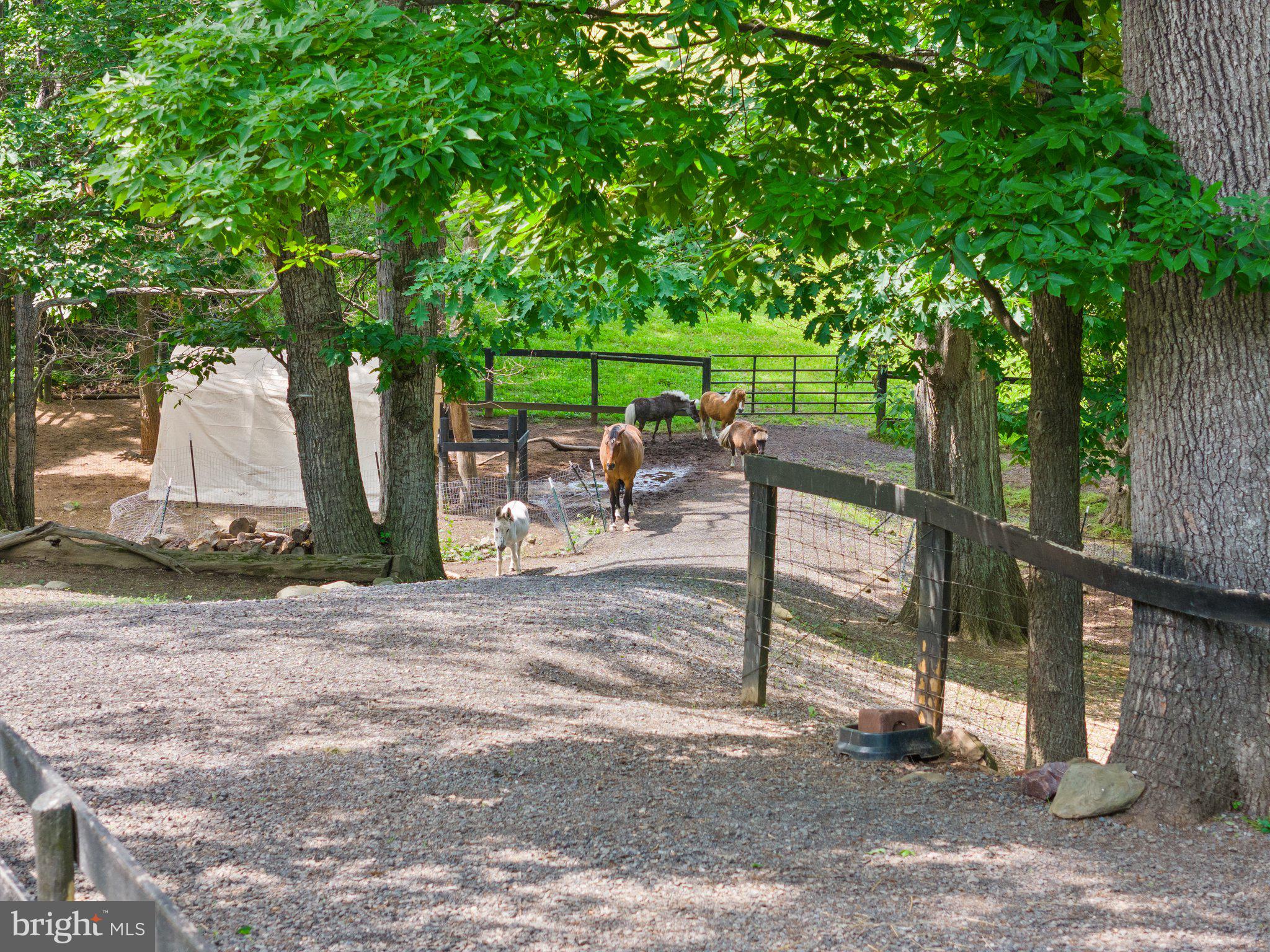 1248 Delaplane Grade Road Upperville, VA 20184 - Photo 44 of 77