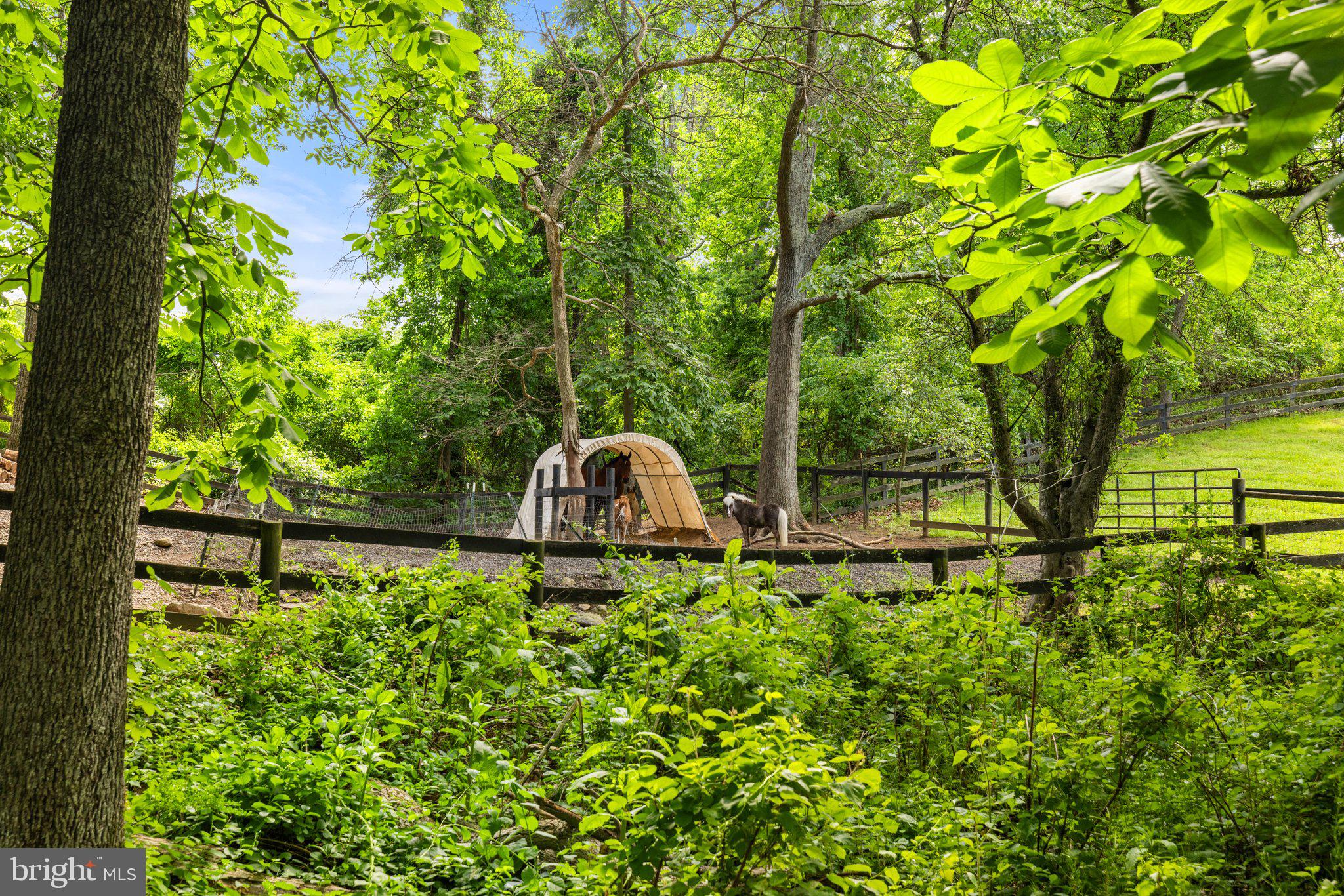 1248 Delaplane Grade Road Upperville, VA 20184 - Photo 46 of 77