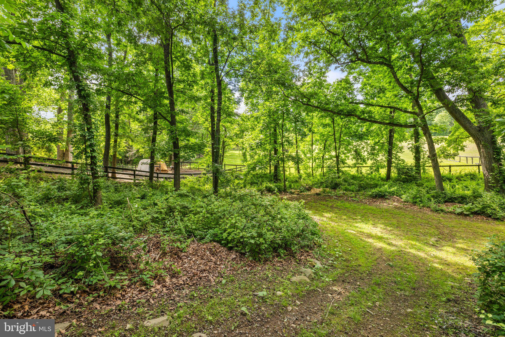 1248 Delaplane Grade Road Upperville, VA 20184 - Photo 47 of 77