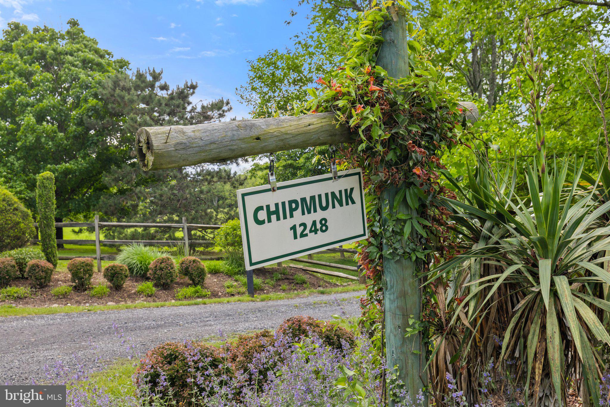 1248 Delaplane Grade Road Upperville, VA 20184 - Photo 68 of 77