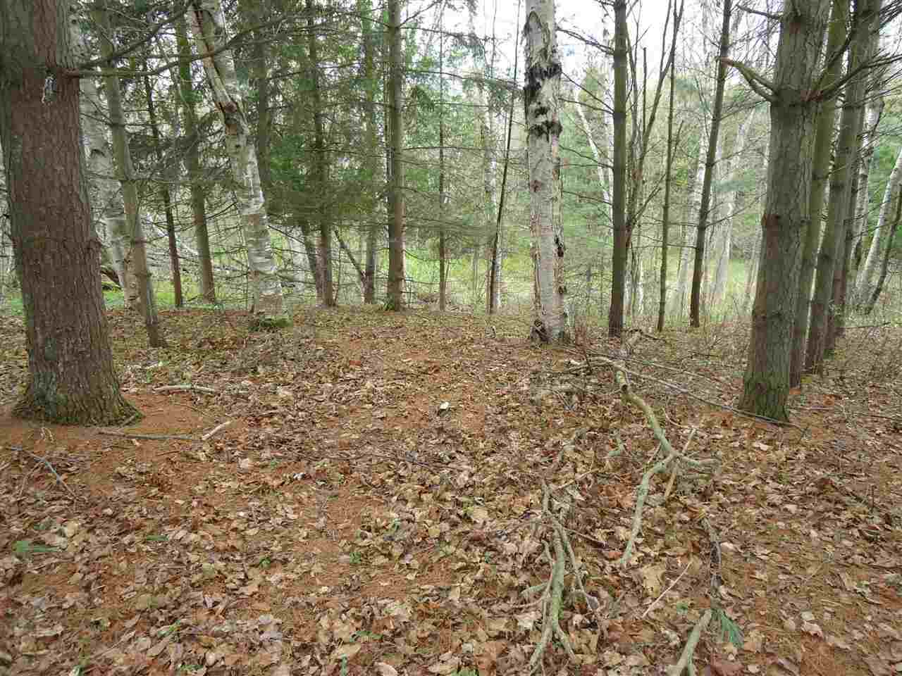 5675 Umbreit Road Forestville, MI 48434 - Photo 5 of 5 Gallery Image 5