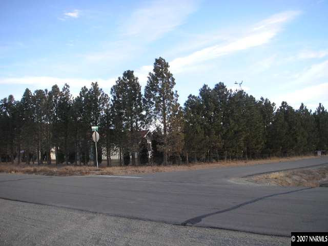 11480 Chestnut Street Reno, NV 89506 - Photo 7 of 8 Photo 7