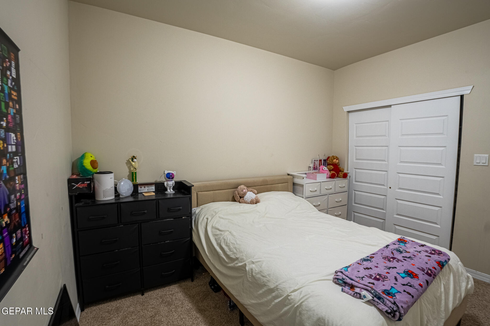 633 Logwood Avenue Canutillo, TX 79835 - Photo 31 of 46 DSC05268-HDR