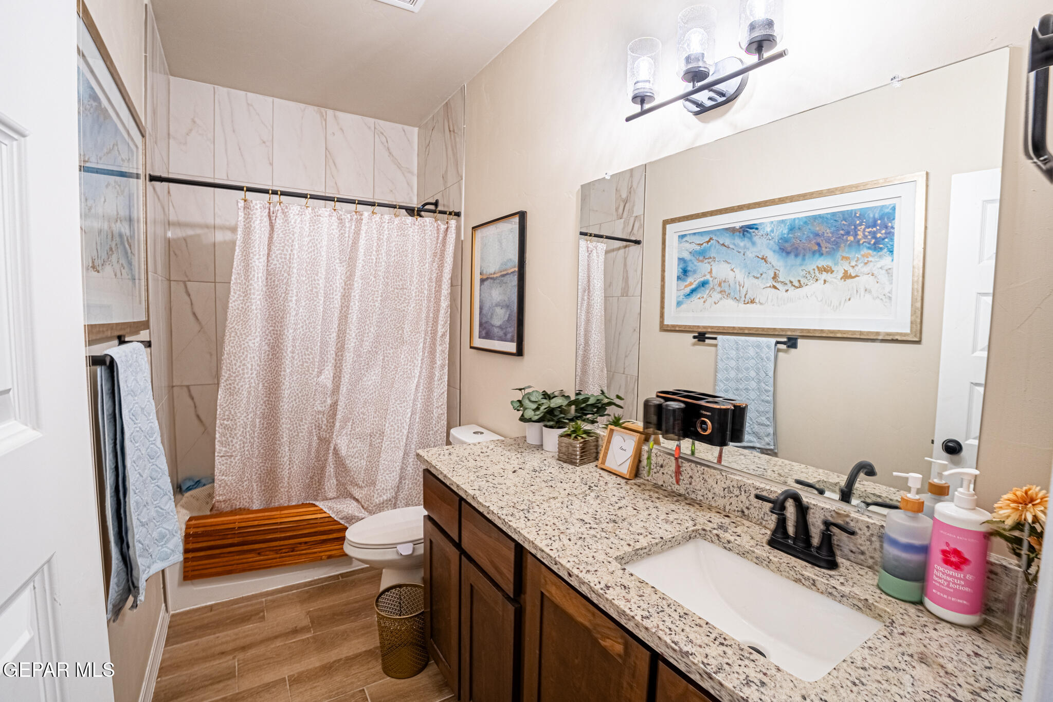 633 Logwood Avenue Canutillo, TX 79835 - Photo 32 of 46 DSC05223-HDR