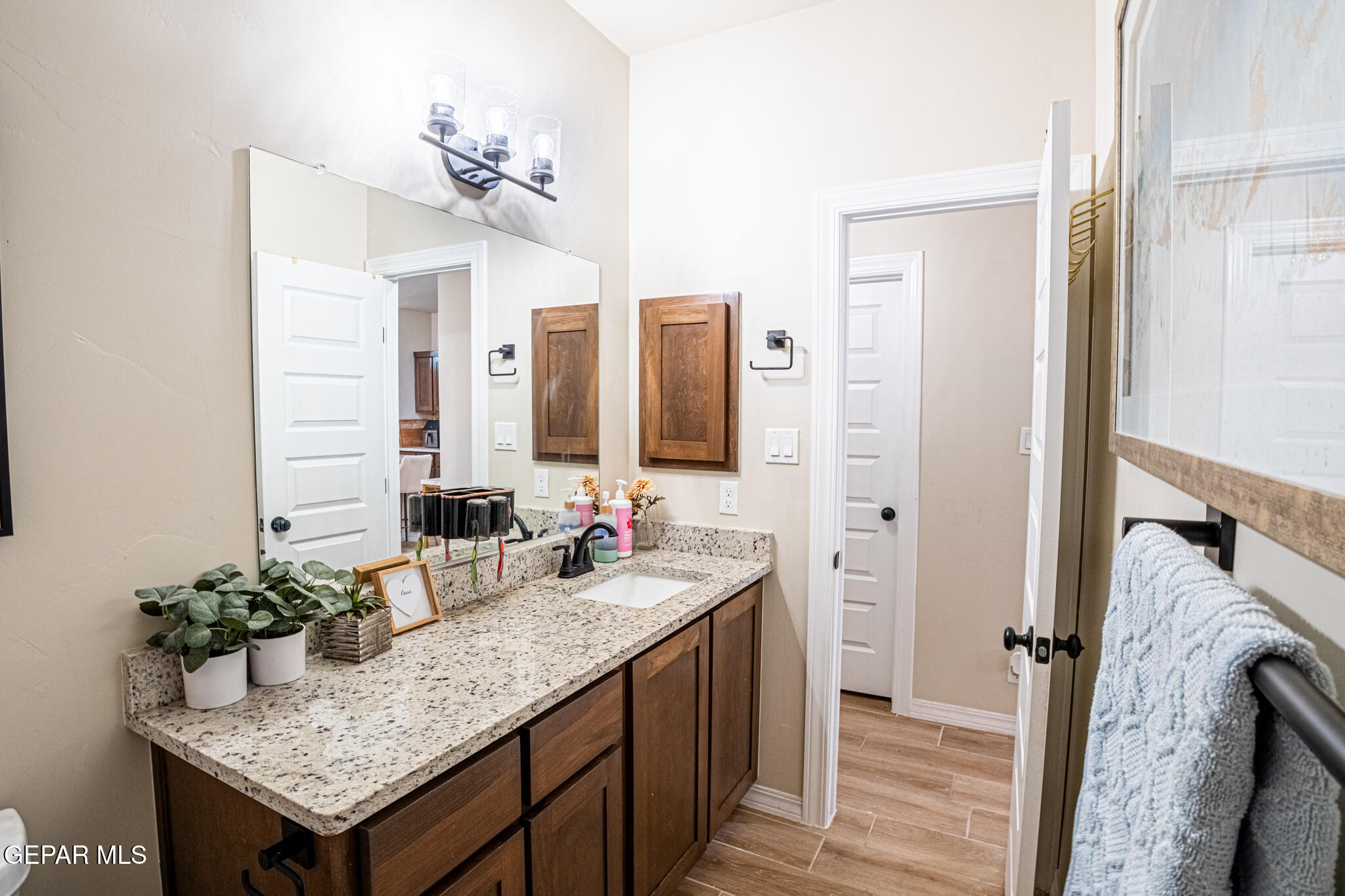 633 Logwood Avenue Canutillo, TX 79835 - Photo 33 of 46 DSC05232-HDR