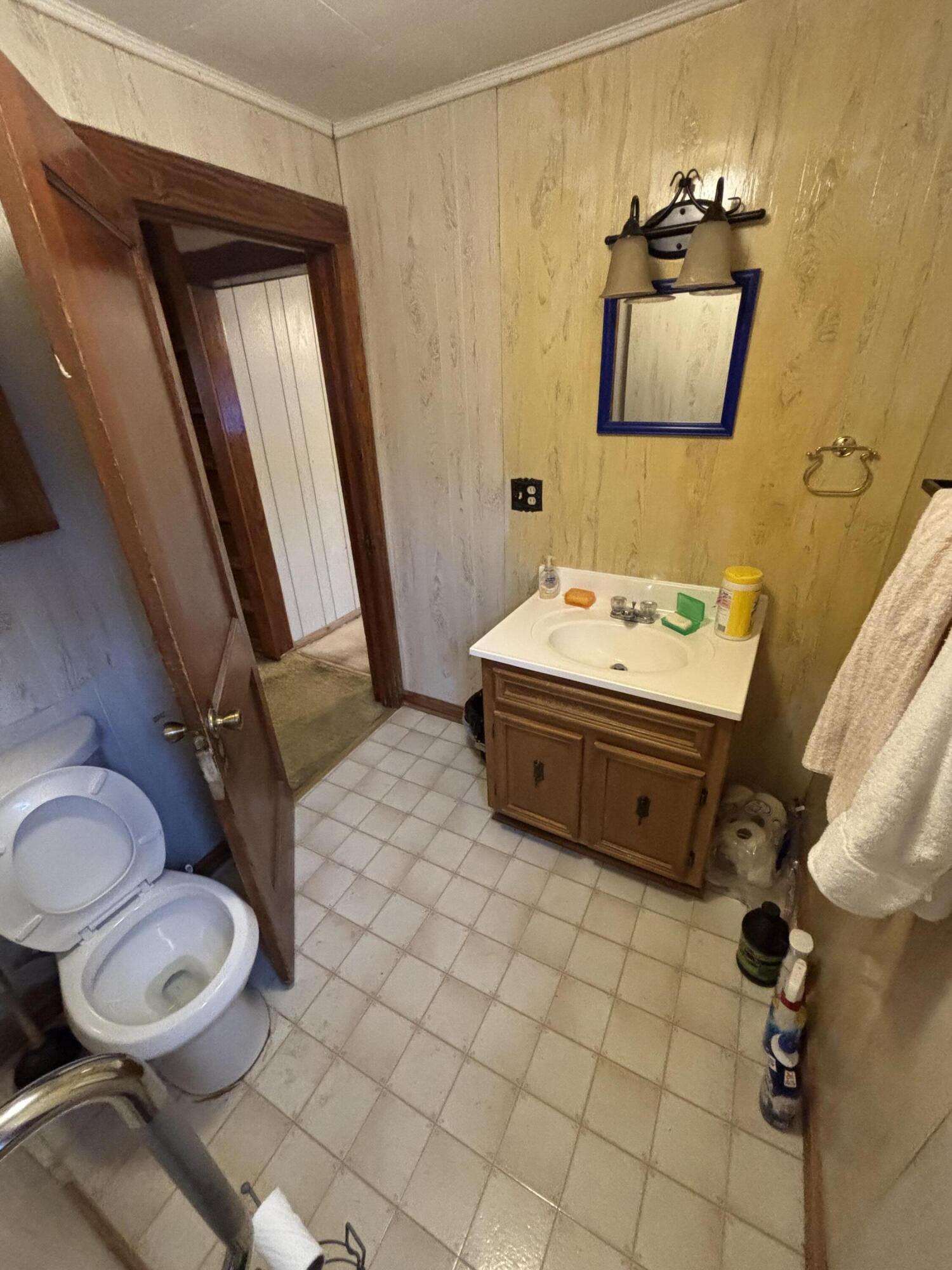 876 Dillon Street Pulaski, VA 24301 - Photo 15 of 18 a bathroom with a sink toilet and mirror