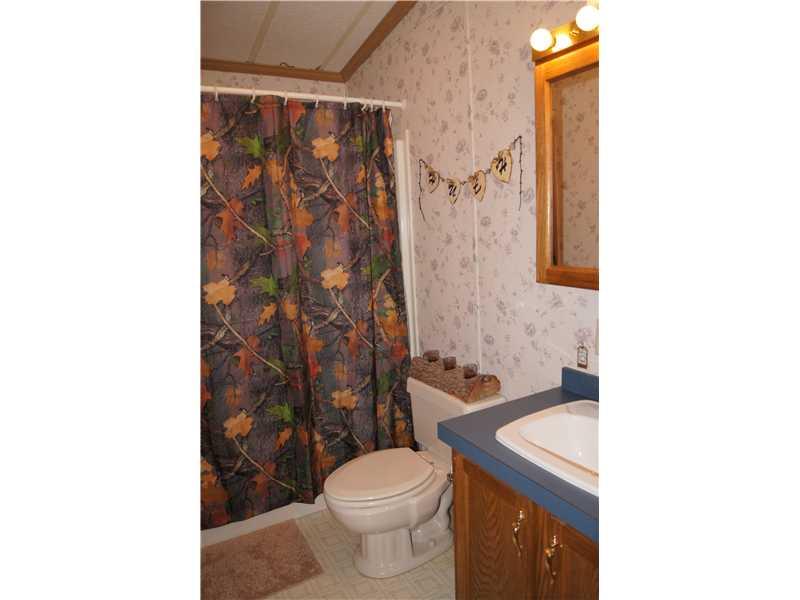 816 North 4th Street Apollo, PA 15613 - Photo 13 of 23 Full Bath.