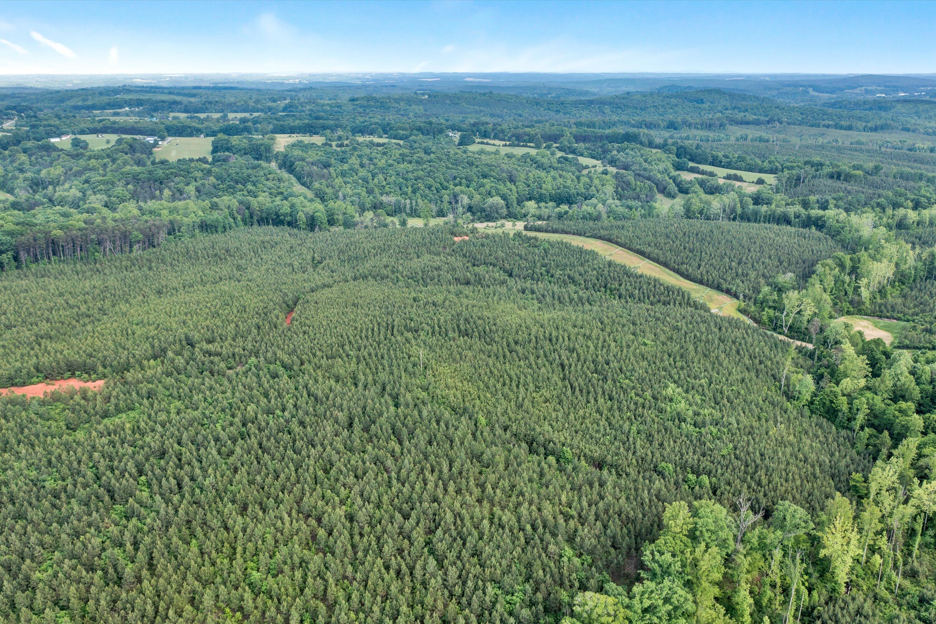 Tract A West Gretna Road Penhook, VA 24137 - Photo 4 of 14 03-052220240114