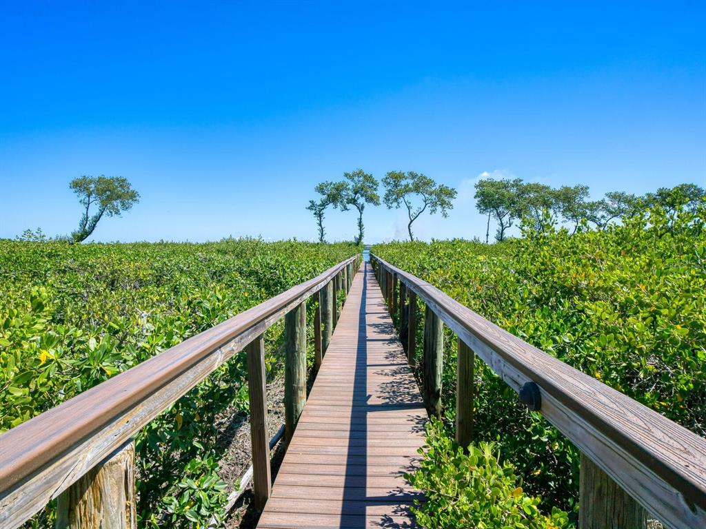 12313 Baypointe Terrace Cortez, FL 34215 - Photo 54 of 65