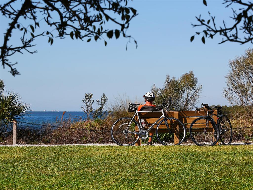 12313 Baypointe Terrace Cortez, FL 34215 - Photo 57 of 65